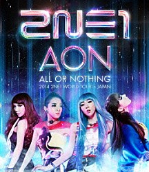 ２ＮＥ１「２０１４　２ＮＥ１　ＷＯＲＬＤ　ＴＯＵＲ　ＡＬＬ　ＯＲ　ＮＯＴＨＩＮＧ　ｉｎ　ＪＡＰＡＮ」