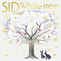 シド「 Ｗｈｉｔｅ　ｔｒｅｅ」