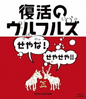 ウルフルズ「 復活のウルフルズ～せやな！せやせや！！～ＹＡＳＳＡ！！＆ＯＮＥ　ＭＩＮＤ」