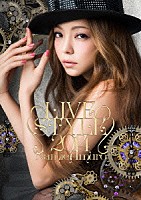 Ｎａｍｉｅ　Ａｍｕｒｏ「 Ｎａｍｉｅ　Ａｍｕｒｏ　ＬＩＶＥ　ＳＴＹＬＥ　２０１４」