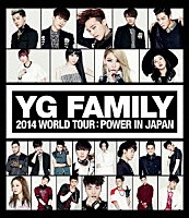 （Ｖ．Ａ．）「 ＹＧ　ＦＡＭＩＬＹ　２０１４　ＷＯＲＬＤ　ＴＯＵＲ：ＰＯＷＥＲ　ＩＮ　ＪＡＰＡＮ」