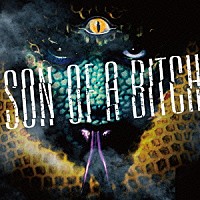 ＢＯＲＮ「 Ｓｏｎ　Ｏｆ　Ａ　Ｂｉｔｃｈ」