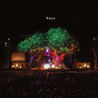 ＳＥＫＡＩ　ＮＯ　ＯＷＡＲＩ 「Ｔｒｅｅ」