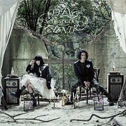 ＴＲＵＳＴＲＩＣＫ「ＦＬＹＩＮＧ　ＦＡＦＮＩＲ」