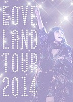 加藤ミリヤ「 Ｌｏｖｅｌａｎｄ　ｔｏｕｒ　２０１４」