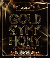 ＡＡＡ「 ＡＡＡ　ＡＲＥＮＡ　ＴＯＵＲ　２０１４　ＧＯＬＤ　ＳＹＭＰＨＯＮＹ」