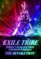 ＥＸＩＬＥ　ＴＲＩＢＥ「 ＥＸＩＬＥ　ＴＲＩＢＥ　ＰＥＲＦＥＣＴ　ＹＥＡＲ　ＬＩＶＥ　ＴＯＵＲ　ＴＯＷＥＲ　ＯＦ　ＷＩＳＨ　２０１４　ＴＨＥ　ＲＥＶＯＬＵＴＩＯＮ」