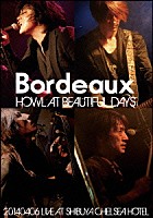 Ｂｏｒｄｅａｕｘ「 ＨＯＷＬ　ＡＴ　ＢＥＡＵＴＩＦＵＬ　ＤＡＹＳ　－２０１４０４０６　ＬＩＶＥ　ＡＴ　ＳＨＩＢＵＹＡ　ＣＨＥＬＳＥＡ　ＨＯＴＥＬ－」