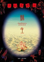 アレルギー「 蘇生　～Ａｎａｂｉｏｓｉｓ　ＬＩＶＥ　ＤＶＤ～」