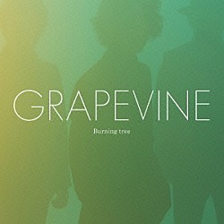 ＧＲＡＰＥＶＩＮＥ「Ｂｕｒｎｉｎｇ　ｔｒｅｅ」