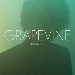 ＧＲＡＰＥＶＩＮＥ「Ｂｕｒｎｉｎｇ　ｔｒｅｅ」