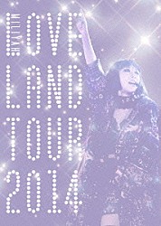 加藤ミリヤ「Ｌｏｖｅｌａｎｄ　ｔｏｕｒ　２０１４」