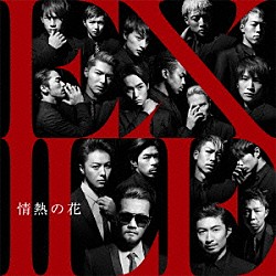 ＥＸＩＬＥ「情熱の花」