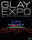 ＧＬＡＹ「ＧＬＡＹ　ＥＸＰＯ　２０１４　ＴＯＨＯＫＵ　２０ｔｈ　Ａｎｎｉｖｅｒｓａｒｙ」