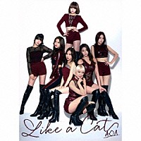 ＡＯＡ「 Ｌｉｋｅ　ａ　Ｃａｔ」