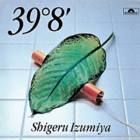 泉谷しげる「 ３９°８’　＋１」