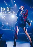 藍井エイル「 藍井エイル　Ｅｉｒ　Ａｏｉ　Ｓｐｅｃｉａｌ　Ｌｉｖｅ　２０１４　～ＩＧＮＩＴＥ　ＣＯＮＮＥＣＴＩＯＮ～　ａｔ　ＴＯＫＹＯ　ＤＯＭＥ　ＣＩＴＹ　ＨＡＬＬ」