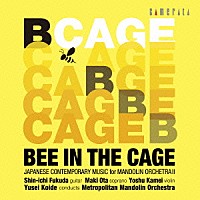 小出雄聖　メトロポリタン・マンドリン・オーケストラ「 現代日本マンドリン・オーケストラ作品集Ⅱ」