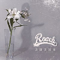 ＲＯＡＣＨ「 リーリヤ－ｎｅｖｅｒ　ａｇａｉｎ－」