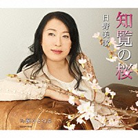 日野美歌「 知覧の桜／涙ひとつぶ」