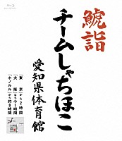 チームしゃちほこ「 鯱詣２０１５　ａｔ　愛知県体育館」