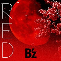 Ｂ’ｚ「 ＲＥＤ」