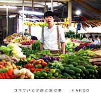 ＨＡＲＣＯ「 ゴマサバと夕顔と空心菜」