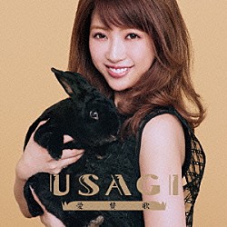 ＵＳＡＧＩ「愛賛歌」