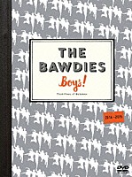 ＴＨＥ　ＢＡＷＤＩＥＳ「 「Ｂｏｙｓ！」ＴＯＵＲ　２０１４－２０１５　－ＦＩＮＡＬ－　ａｔ　日本武道館」