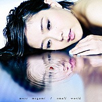 森恵「 ｓｍａｌｌ　ｗｏｒｌｄ」