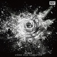 ＳＴＥＲＥＯ　ＤＩＶＥ　ＦＯＵＮＤＡＴＩＯＮ「 Ｒｅｎｅｇａｄｅ」