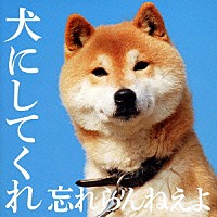 忘れらんねえよ「 犬にしてくれ」