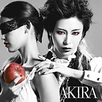 ＡＫＩＲＡ「 ヴァニタスの円舞曲」