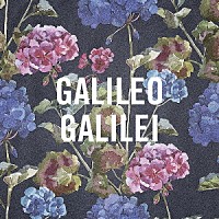 Ｇａｌｉｌｅｏ　Ｇａｌｉｌｅｉ「 嵐のあとで」