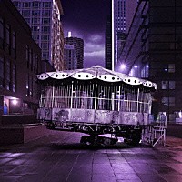 ＷＨＩＴＥ　ＡＳＨ「 Ｉｎｓｉｇｈｔ／Ｌｅｄｇｅｒ」