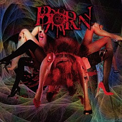 ＢＯＲＮ「オルタナティヴ・タランチュラ」