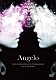 Ａｎｇｅｌｏ「Ａｎｇｅｌｏ　ＴＨＥ　ＢＬＩＮＤ　ＳＰＯＴ　ＯＦ　ＰＳＹＣＨＯＬＯＧＹ　Ｌｉｖｅ　＆　Ｄｏｃｕｍｅｎｔ」