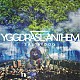 ソルティードッグ「ＹＧＧＤＲＡＳｉＬ　ＡＮＴＨＥＭ」