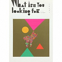 ハナレグミ「 Ｗｈａｔ　ａｒｅ　ｙｏｕ　ｌｏｏｋｉｎｇ　ｆｏｒ」