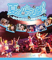 でんぱ組．ｉｎｃ「 夏のパッション！　～みんながおるし、仲間やで！～　ｉｎ　大阪城野外音楽堂」