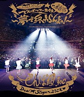 でんぱ組．ｉｎｃ「 ワールドワイド☆でんぱツアー２０１４　ｉｎ　日本武道館　～夢で終わらんよっ！～」