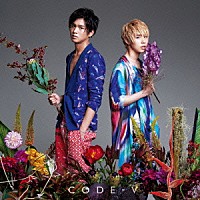 ＣＯＤＥ－Ｖ「 衝動」