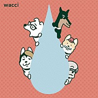 ｗａｃｃｉ「 大丈夫」