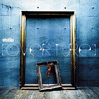 ｖｉｓｔｌｉｐ「 ＯＶＥＲＴＵＲＥ」