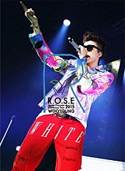 ＷＯＯＹＯＵＮＧ　Ｆｒｏｍ　２ＰＭ「ＷＯＯＹＯＵＮＧ　Ｆｒｏｍ　２ＰＭ　Ｊａｐａｎ　Ｐｒｅｍｉｕｍ　Ｓｈｏｗｃａｓｅ　Ｔｏｕｒ　２０１５　Ｒ．Ｏ．Ｓ．Ｅ」