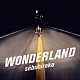 ｓｅｂｕｈｉｒｏｋｏ「ＷＯＮＤＥＲＬＡＮＤ」