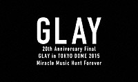 ＧＬＡＹ「 ２０ｔｈ　Ａｎｎｉｖｅｒｓａｒｙ　Ｆｉｎａｌ　ＧＬＡＹ　ｉｎ　ＴＯＫＹＯ　ＤＯＭＥ　２０１５　Ｍｉｒａｃｌｅ　Ｍｕｓｉｃ　Ｈｕｎｔ　Ｆｏｒｅｖｅｒ－ＰＲＥＭＩＵＭ　ＢＯＸ－」