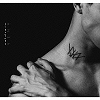 ｃｏｌｄｒａｉｎ「 ＶＥＮＡ」