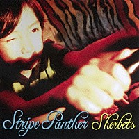 ＳＨＥＲＢＥＴＳ「 ＳＴＲＩＰＥ　ＰＡＮＴＨＥＲ」