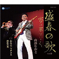 南部なおと「 盛春の歌　ｖｅｒ．Ⅱ／松之山パラダイス／横浜の男」